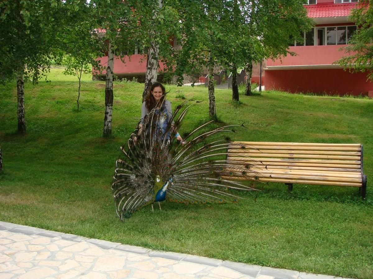 Ani Resort Artavaz Buitenkant foto