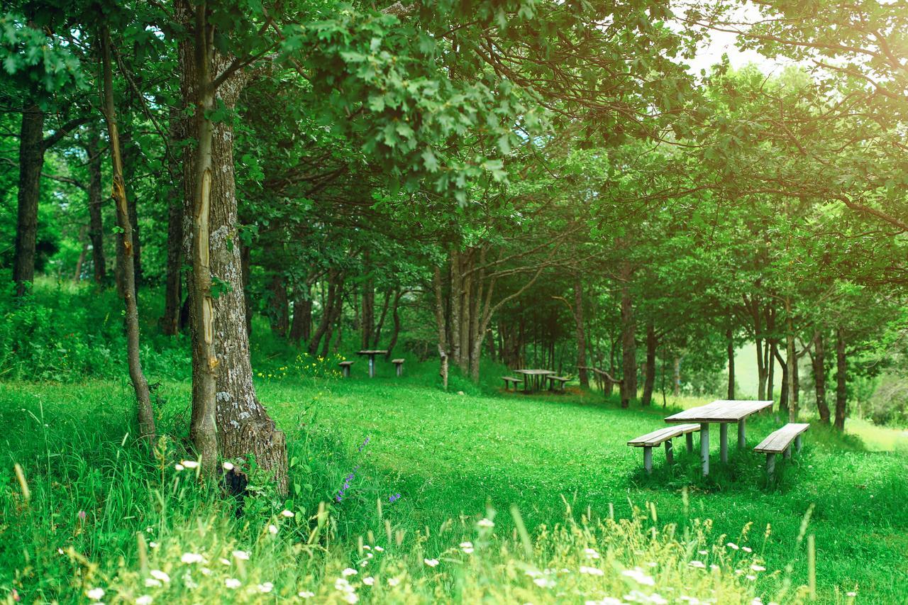 Ani Resort Artavaz Buitenkant foto